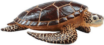 Safari Meeresschildkröte (260429)