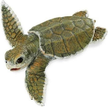 Safari Atlantisches Bastardschildkrötenbaby (267429)