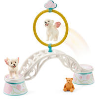 Schleich 42524, Training f&uuml;r gefl&uuml;gelte Babyl&ouml;wen (Schleich 42524) Bayala