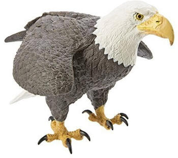 Safari Weißkopfseeadler (251029)