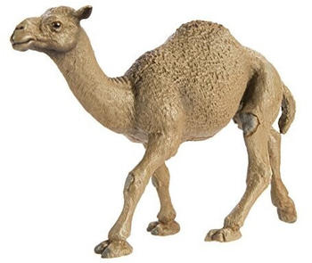 Safari Dromedar (222429)