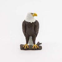 PAPO 50181, PAPO 50181 Seeadler