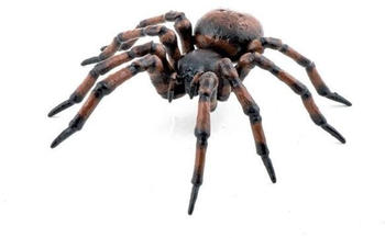 Papo Spider (50292)