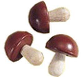 HABA Pilz (1365)