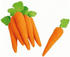Legler Karotten aus Filz (4425)
