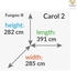 Fungoo Spielturm Carol 2 grau- mit Schaukel, Rutsche und Kletterwand