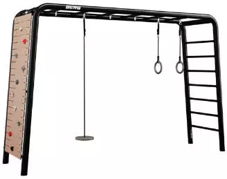 Berg PlayBase Large Reck/Leiter mit Tellerschaukel und Ringe und Kletterwand