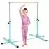 HomCom Turnreck Reckstange 13-stufig verstellbar, bis 75kg, hellblau (A91-099V00LB)