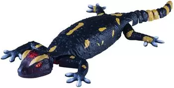 Revell Robo Friends Salamander ferngesteuerte Amphibie (24705)