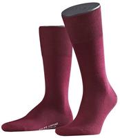 Falke 14435-8596-39-40, Falke Tagessocke Airport (klimaregulierend,hautsympathisch)