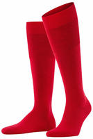 Falke 15435-8120-39-40, Falke Tagessocke Airport Kniestr&uuml;mpfe (klimaregulierend,