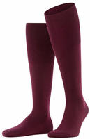 Falke 15435-8596-39-40, Falke Tagessocke Airport Kniestr&uuml;mpfe (klimaregulierend,
