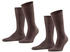 Falke Swing 2-Pack (14633) brown