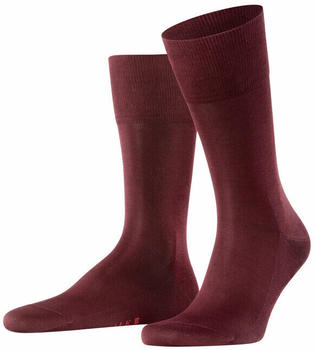 Falke Tiago (14662) barolo 8596