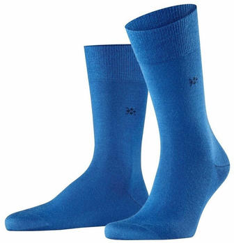 Burlington Socken Leeds (21007) royal blue 6051
