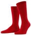 Falke Cool 24/7 (13297) scarlet