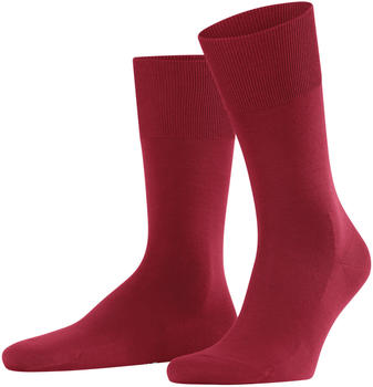Falke ClimaWool Herren-Socken (14468) scarlet