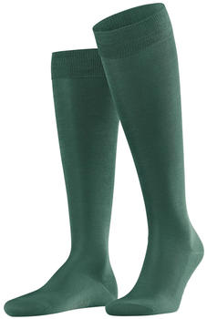 Falke Kniestr&uuml;mpfe Tiago (15792-7441) hunter green