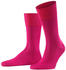 Falke Tiago Herren-Socken (14792)