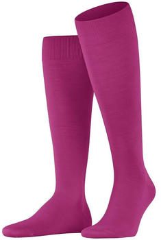 Falke Kniestr&uuml;mpfe ClimaWool (15468-8390) berry