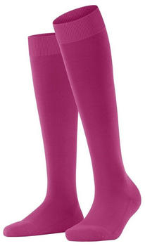 Falke Kniestr&uuml;mpfe ClimaWool (46884-8390) berry
