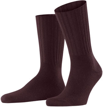 Falke Nelson (14497) barolo