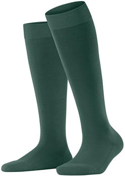 Falke Kniestr&uuml;mpfe ClimaWool (46884) hunter green