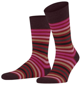 Falke Socken Tinted Stripe 8077