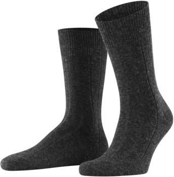 Falke Lhasa Rib Herren (14405) anthra.mel
