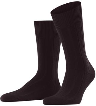 Falke Lhasa Rib Herren (14405) brown