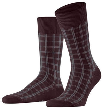 Falke Modern Tailor Herren (12570) barolo