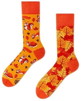 Many Mornings The Squirrels Socken mehrfarbig