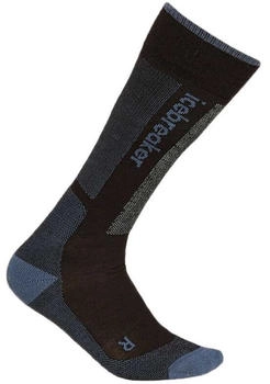 Icebreaker Merino Ski Light schwarz dawn graphit