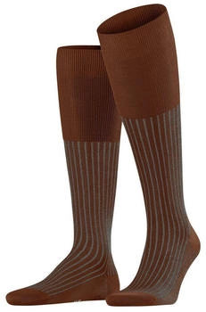 Falke Oxford Stripe Herren (15779) terracotta