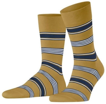 Falke Marina Stripe Herren (12557) brass