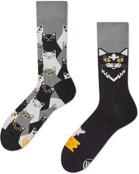 Many Mornings Socken Katzen