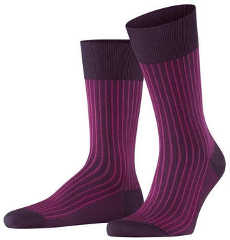 Falke Oxford Stripe Herren (13379) aubergine