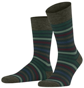 Falke Tinted Stripe Herren (13279) wald