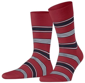Falke Marina Stripe Herren (12557) scarlet