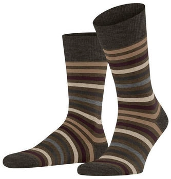 Falke Tinted Stripe Herren (13279) beech
