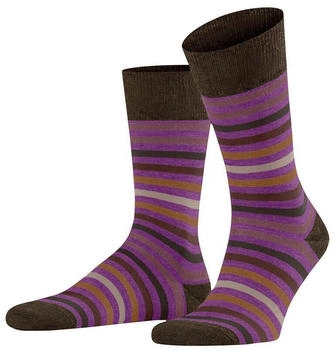 Falke Tinted Stripe Herren (13279) passion