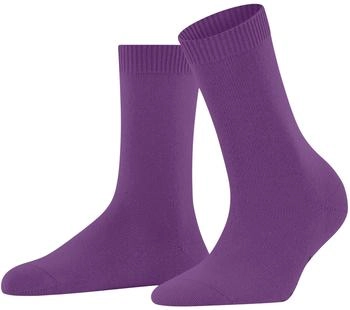 Falke Cosy Wool So Wolle Kaschmir Socken rot phlox 8067