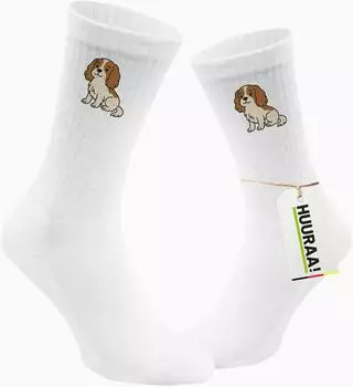 Hellweg Druckerei Socken Cavalier King Charles Spaniel