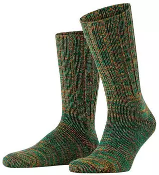 Falke Brooklyn (12430) pine