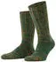Falke Brooklyn (12430) pine