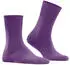 Falke Run Socken (16605) plum