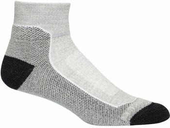 Icebreaker Women's Merino Hike+ Light Mini Socks bizzard heather (105098-017)