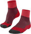 merlot