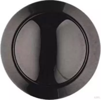 ELCOM ESK-252 Ruftaster Edelstahl Einbau PVD Anthrazit (REH111Y)