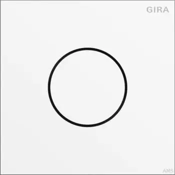Gira TKS-Modul System 106 Sprachmodul 2-Drahtbus verkehrswei&szlig; (lackiert) IP54 (5563902)